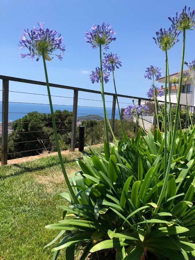 Villa Oasis Costa Brava Lloret de Mar Exterior foto